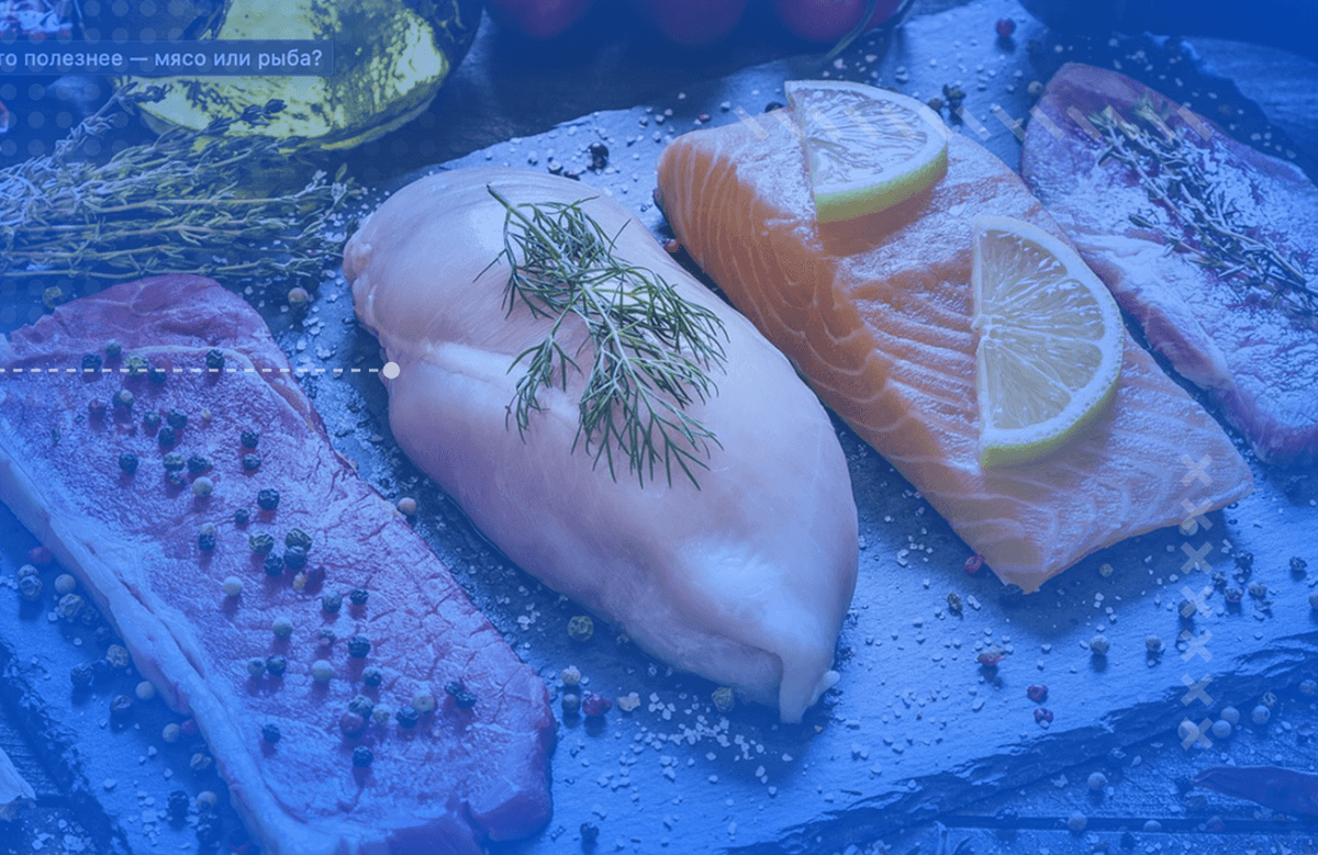 М’ясо, риба та білкові продукти